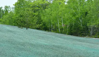 Hydroseeding application on a commercial job site