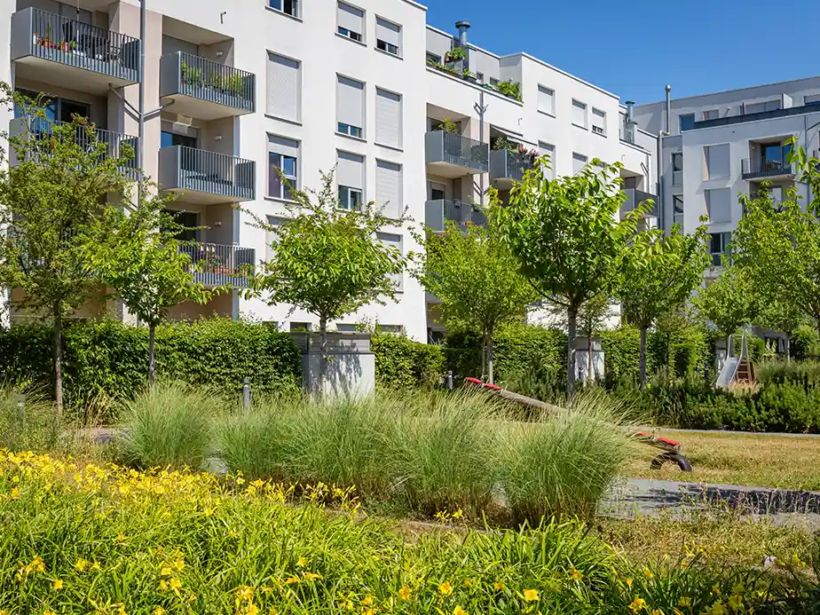 Commercial landscape restoration project on a large property