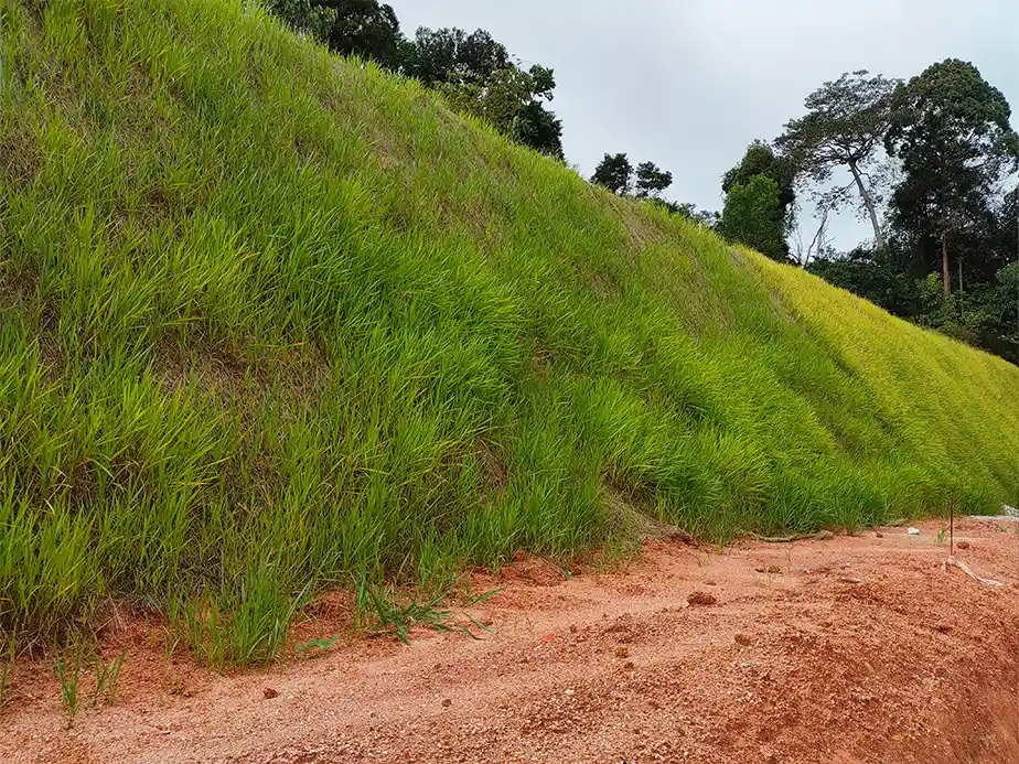 Hydroseeding truck spraying seed mixture onto bare soil