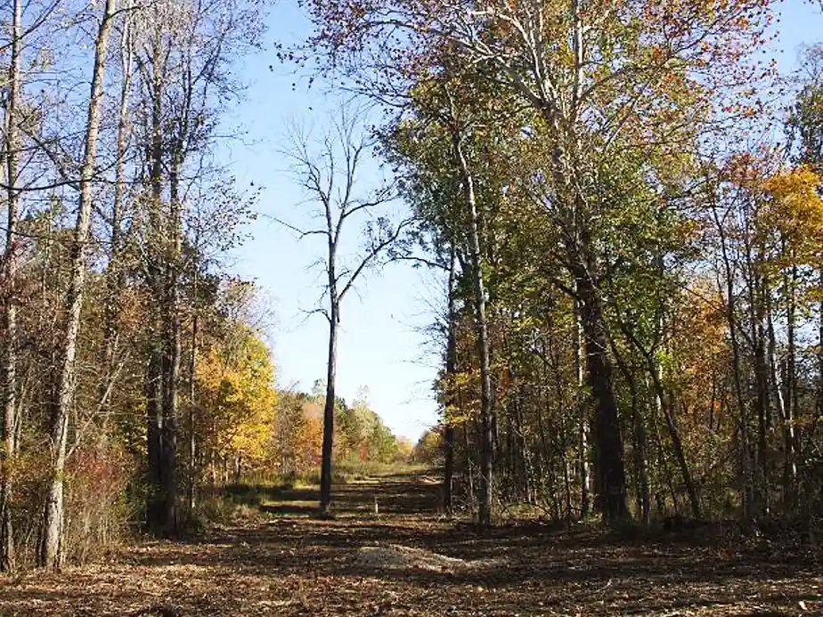 Land Clearing & Prep Contractor